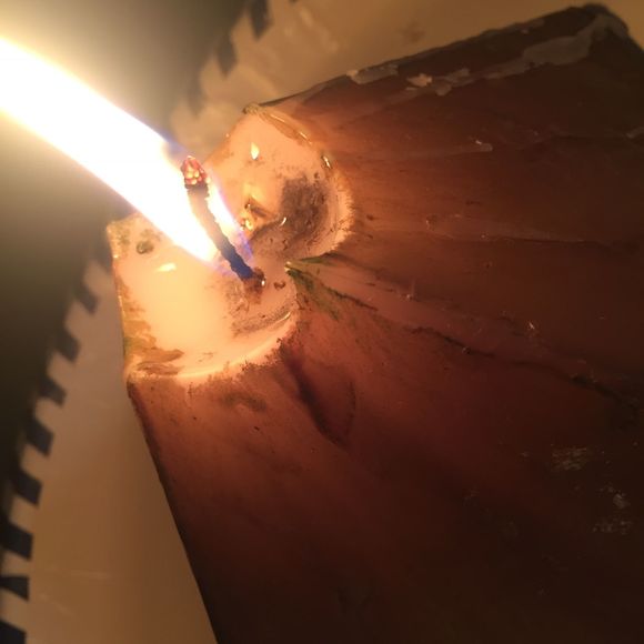 Meet your Posher, Punkin - Picture 1 of 1